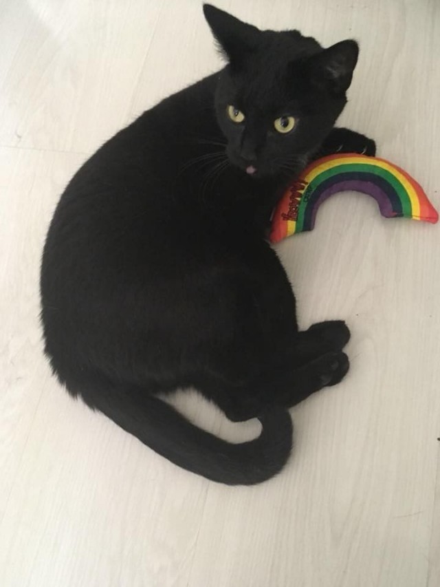 Sateenkaari pärisee myös!