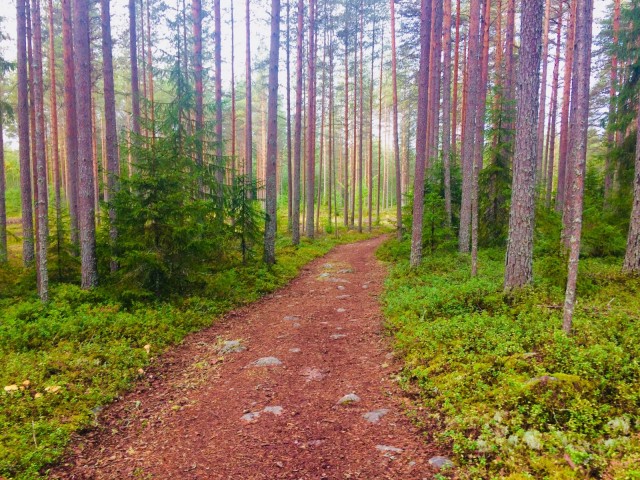 Jokaisella meistä on oma polkumme. Vai onko?