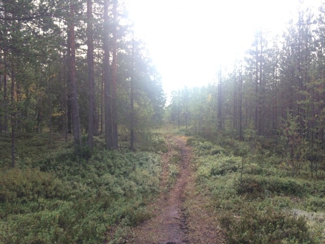 Aika taas näyttänee, mihin suuntaan elämässä on seuraavaksi kuljettava.