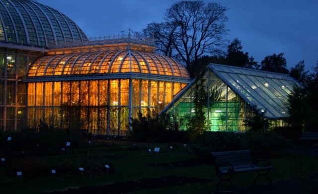 Kasvitieteellinen puutarha tuo valoa pimeyteen.