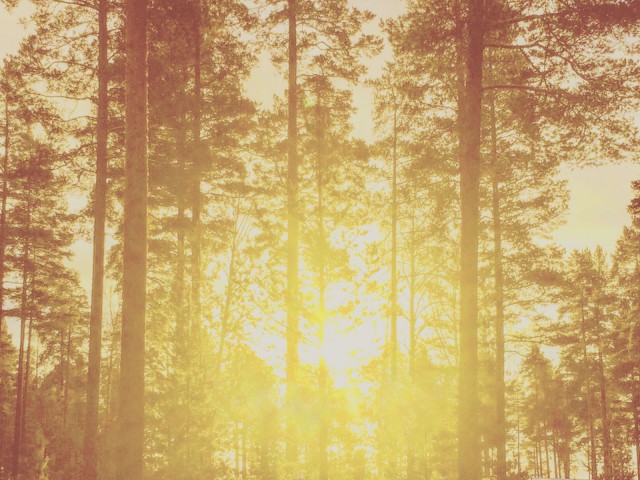 Kun elämässä joutuu liiaksi taistelemaan yksin, ei välttämättä näe kaikkea sitä hyvää mitä elämässä oikeasti on.