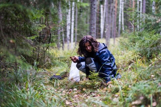 Kaisla Rantala poimi syksyllä suppilovahveroita Magun keittiöön.