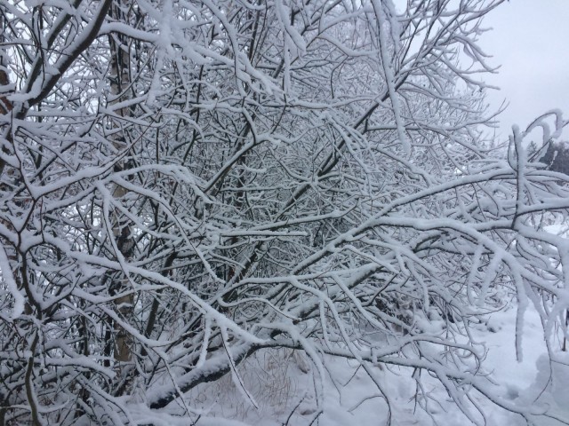 Ulkoinen maailma. Heijastus sisäisestä.