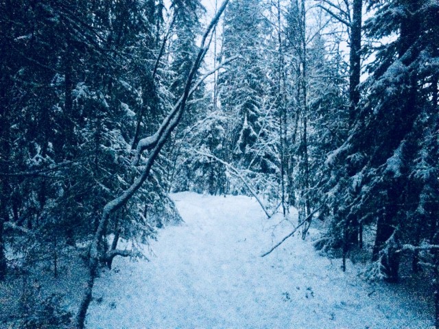 ”Etsivä löytää. Anova saa ja jokaiselle, joka kolkuttaa, avataan.”