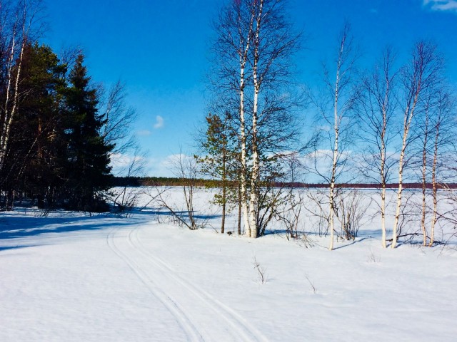 Luonto on oiva opettamaan rakkaudesta. Se kun ei vaadi yhtikäs mitään. Se vain on.