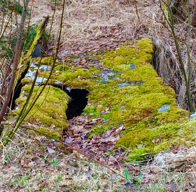 Lopulta se, millainen silta on, ei ole ratkaisevaa. Ratkaisevaa on vain se, suostunko kulkemaan siitä yli.