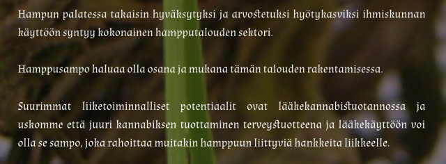 Hamppusampo luottaa hamppubisneksen tulevaisuuteen.
