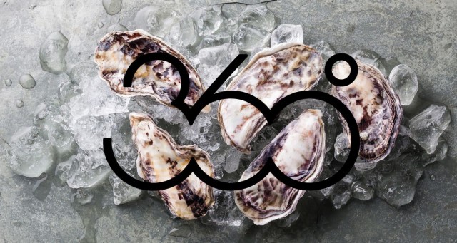 360° Eat Guide on arvioinut yli 300 pohjoismaista ravintolaa gastronomisten ansioiden ja vastuullisuuden perusteella.