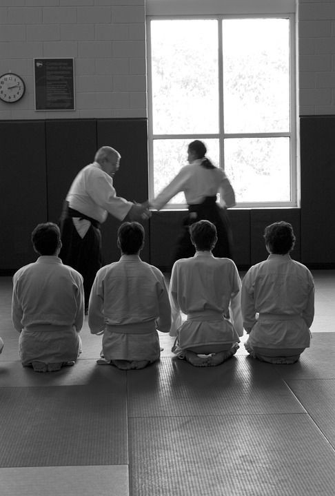 "Harjoita aikidoa." (kuva pixabay)