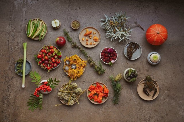 Grönin pohjoismaiset raaka-aineet vakuuttivat tuomarit.