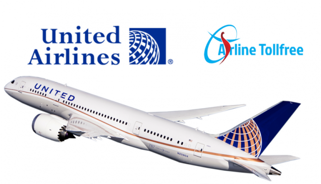 United Airlines Reservations