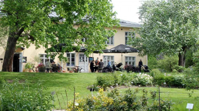 Kumpu on todellinen kesäparatiisi keskellä Helsinkiä.