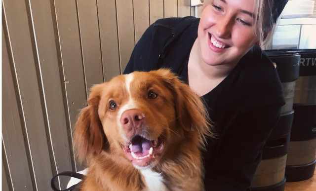 Haukilahden rannasta löytyy yksi Espoon koiraystävällisimmista ravintoloista.