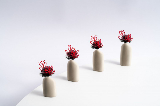 Punajuurikukkaa ja punaisia marjoja.