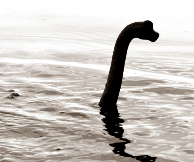 Loch Nessillä saattaa olla sisarus naapurimaassamme.