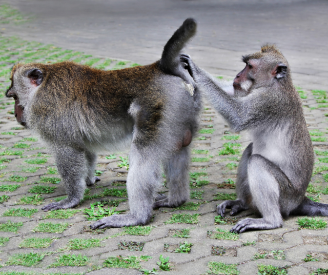 Tauottomassa suhteilussa on sellainen ongelma, että aiempien suhteiden asiat jäävät herkästi käsittelemättä uuden vuoksi.