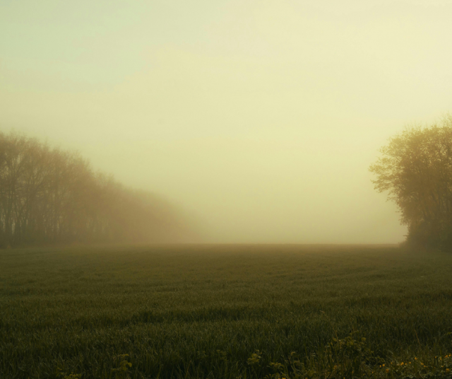 Englantilainen maisema, jonka sumussa peto saattaa piileskellä. Kuvituskuva.