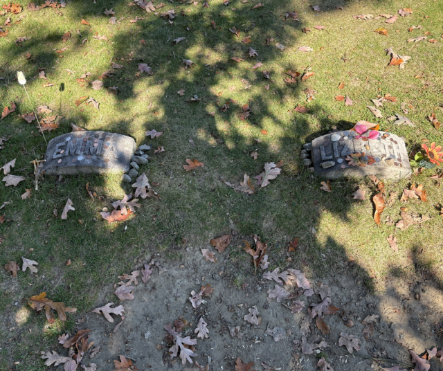 Lizzien ja hänen lapsena kuolleen Emma-siskonsa haudat.