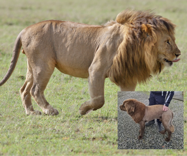 Onkin niin huomattava yhdennäköisyys.