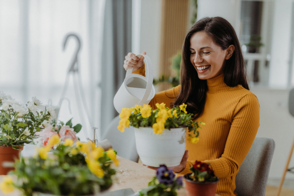 Aikuinen henkilö kastelee ruukkukukkia pöydän ääressä sisätilassa