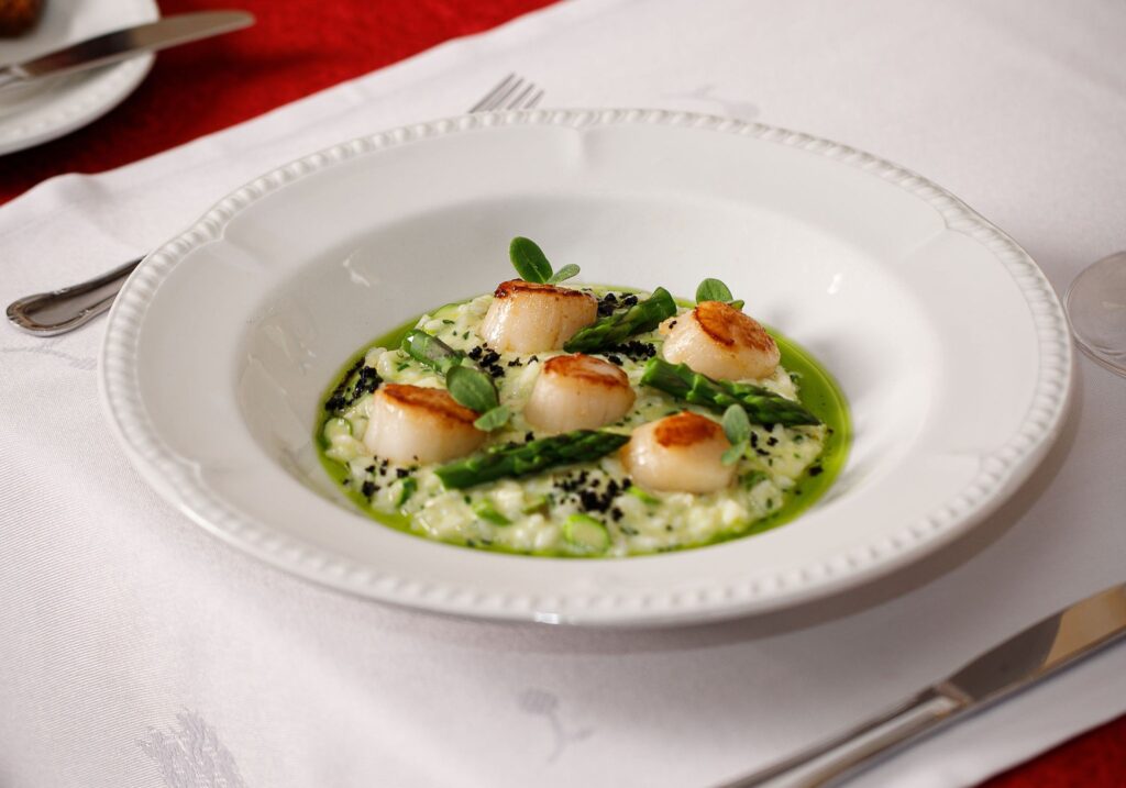 Paistetut kampasimpukat vihreällä risotolla ja parsalla valkoisessa syvässä lautasessa ravintolapöydässä.